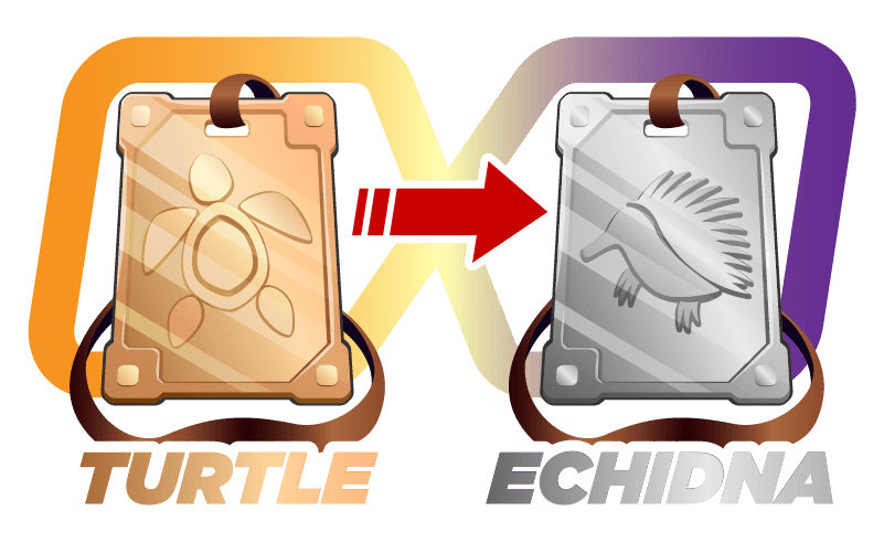 TURTLE 🡆 ECHIDNA